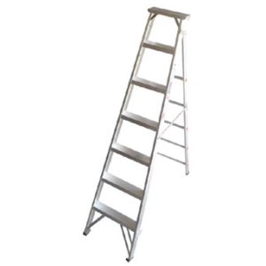 Aluminium Ladder Dual