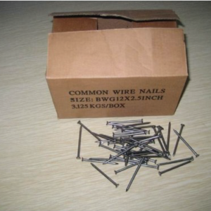 Common Wire Nail